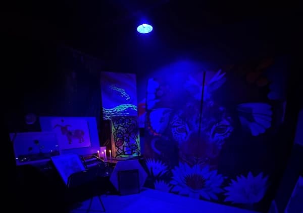 Studio 202